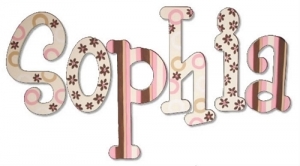 Pink Chocolate Hand Painted Wall Letters