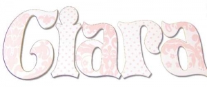 Pink Damask Hand Painted Wall Letters