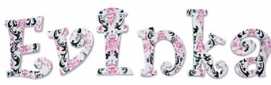Hot Pink and Black Damask Hand Painted Wall Letters