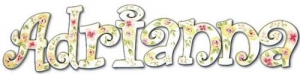 Beautiful Blossoms Hand Painted Wall  Letters