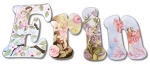 Erin Fairies Hand Painted Wall Letters