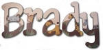 Animal Jungle Parade Hand Painted Wall Letters